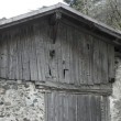 Natürliche Vergrauung Natürliche Vergrauung bei Lärche