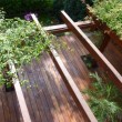 Terrassenöl auf Cumaru leicht vergraut