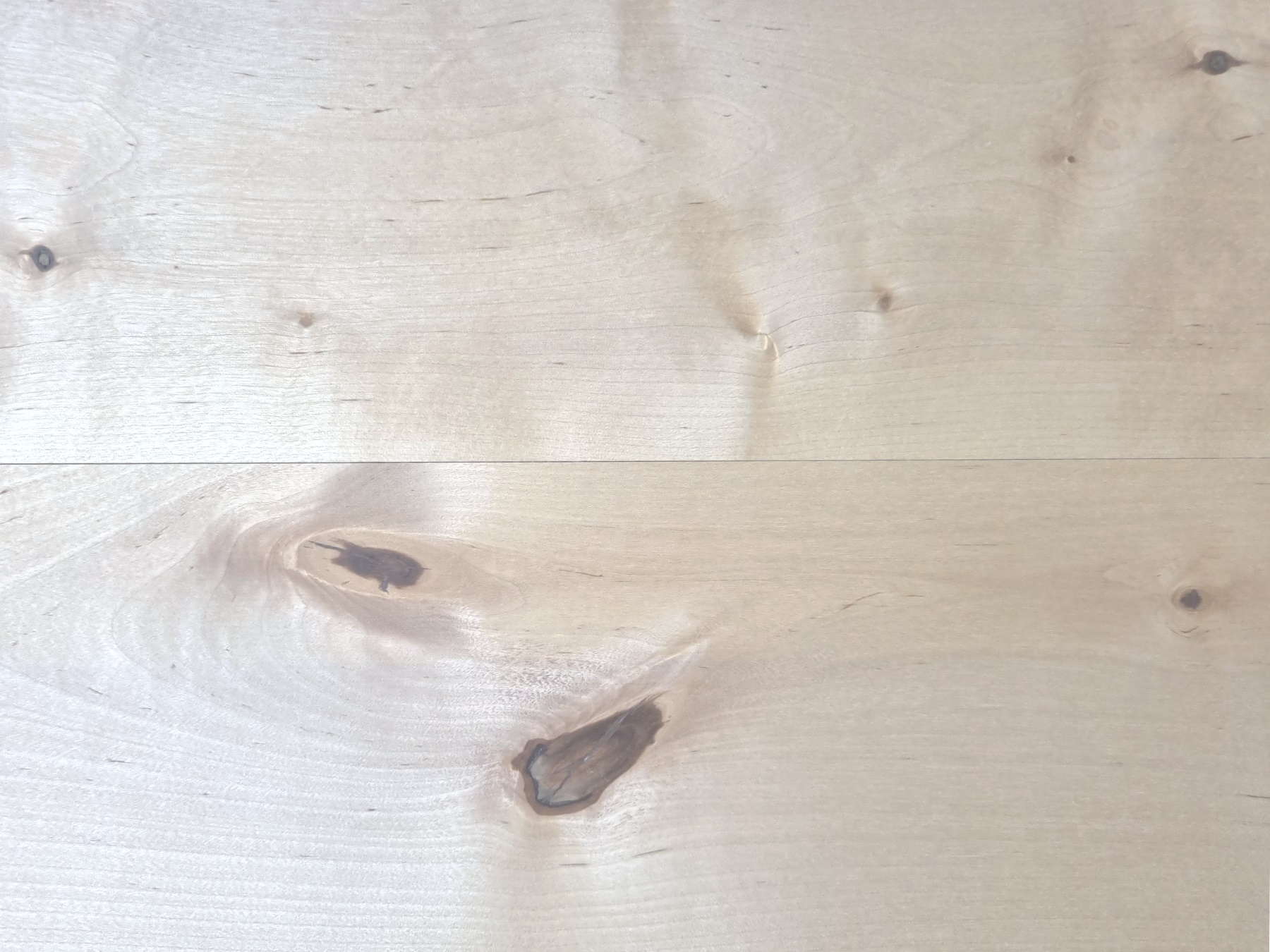 Birke ölen mit Natural Naturfarben